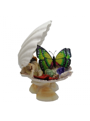 Ornamente Scoici - "Palmuțe"